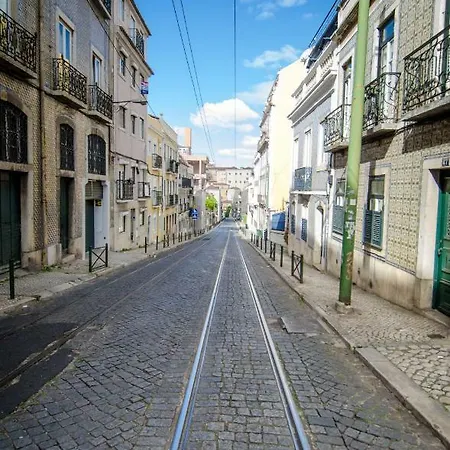 Lapa